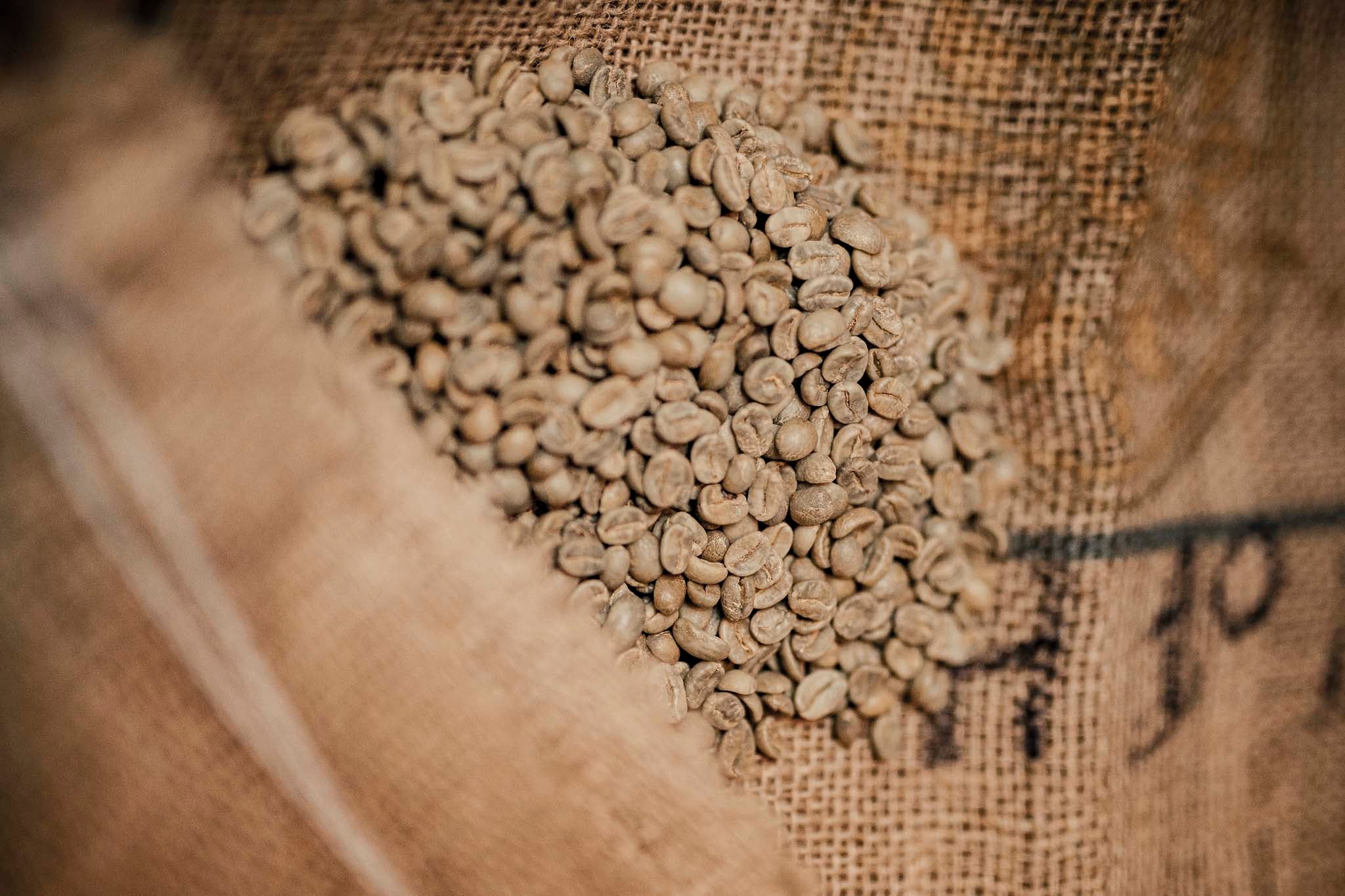 Die Aufbereitung der Kaffee-Ernte