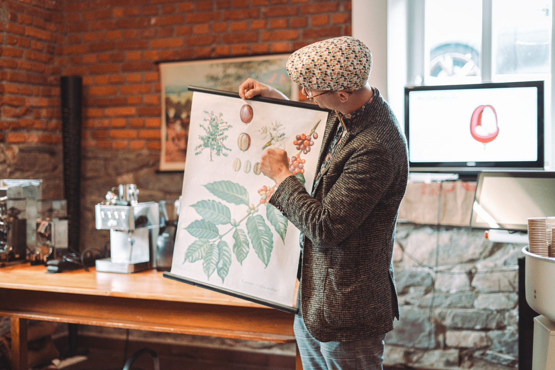 Coffee Basics Kurs (inkl. Verkostung!) - Leidenschaft Kaffee, vom Anbau bis zur Zubereitung
