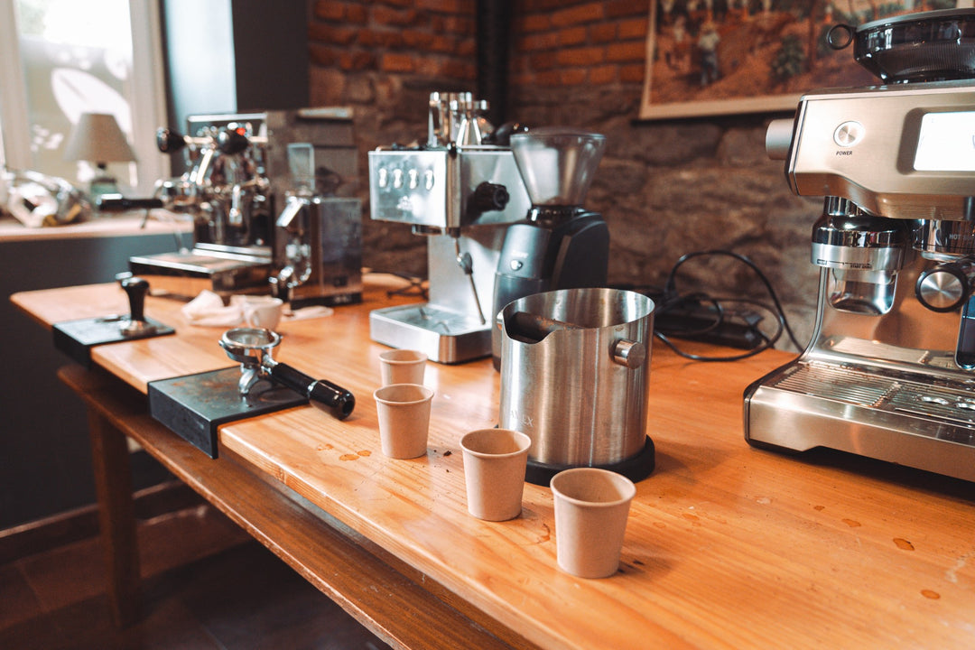 Coffee Basics Kurs (inkl. Verkostung!) - Leidenschaft Kaffee, vom Anbau bis zur Zubereitung