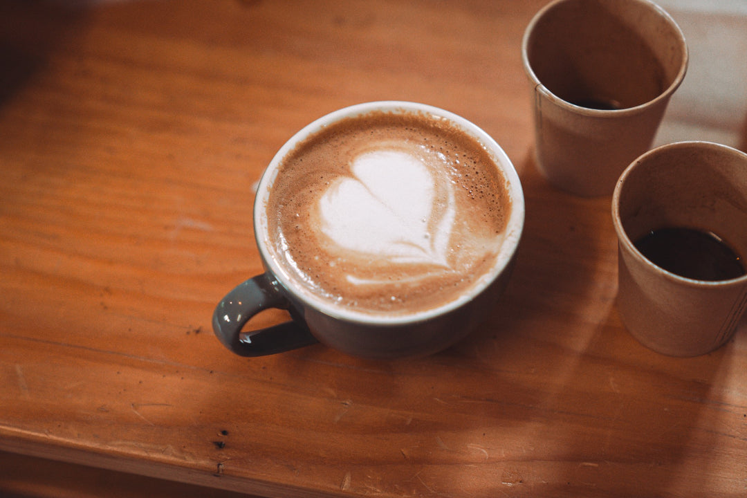 Coffee Basics Kurs (inkl. Verkostung!) - Leidenschaft Kaffee, vom Anbau bis zur Zubereitung